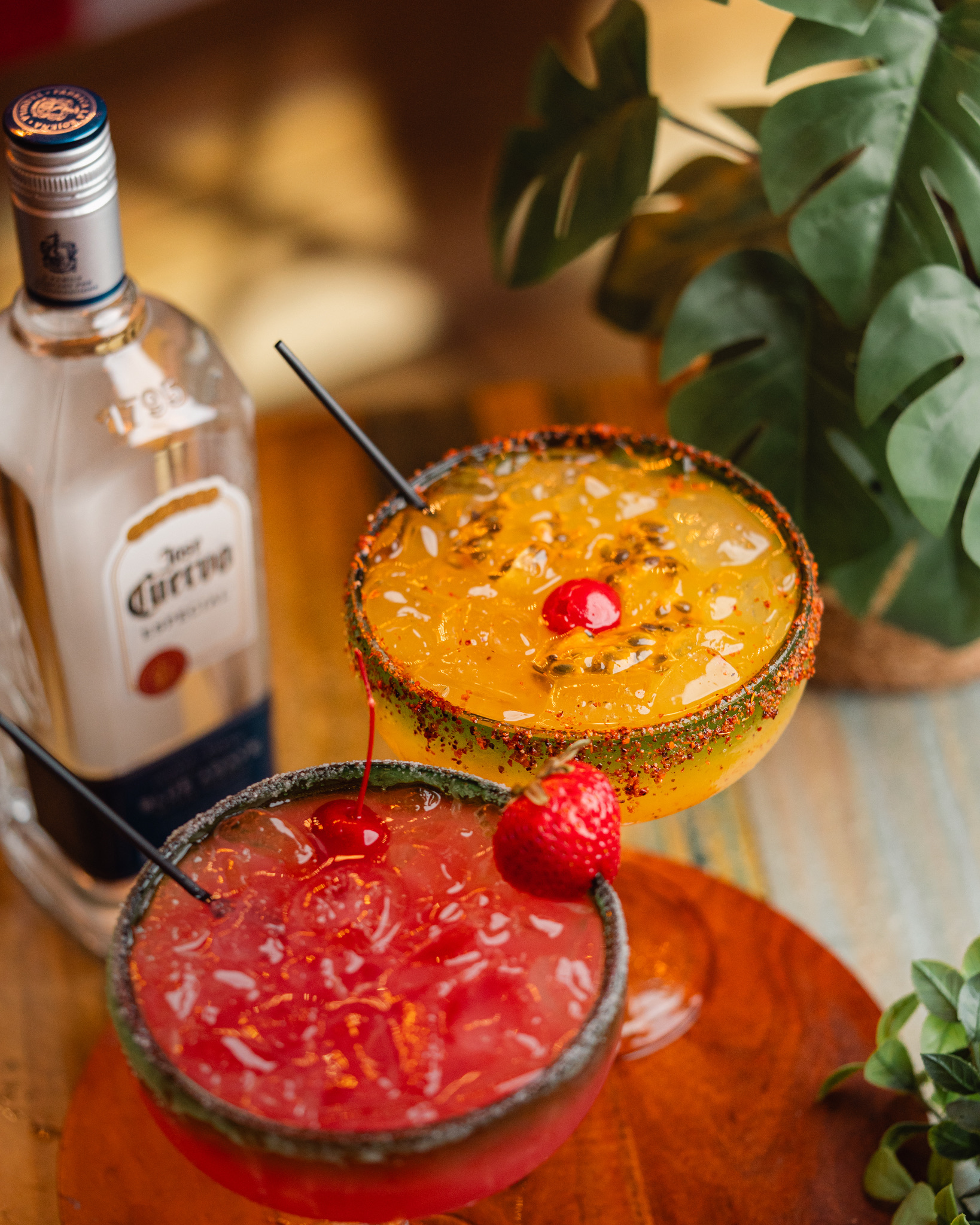 244898BF-92E5-497A-AAA5-12E625E9B55E